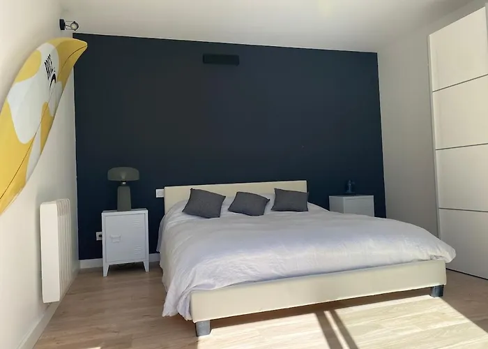 Villa Superbe De Plain Pied Avec Piscine Et Jardin Perols