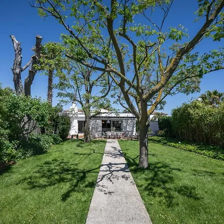 Superbe De Plain Pied Avec Piscine Et Jardin * 페홀